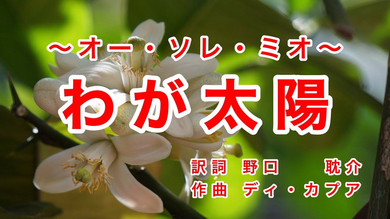 O Sole Mio｜Naples folk song in Japanese - YouTube