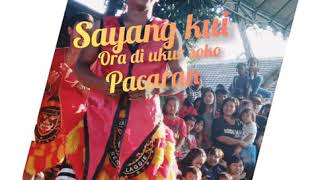 Story wa cover selawase jaranan