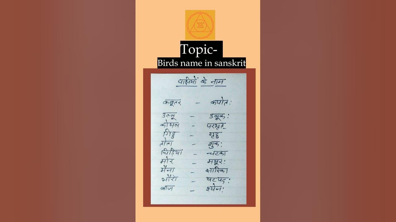 birds-name-in-sanskrit-educationalvideo-learnsanskrit-study-youtube