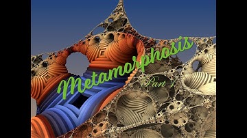 Metamorphosis: Part 1