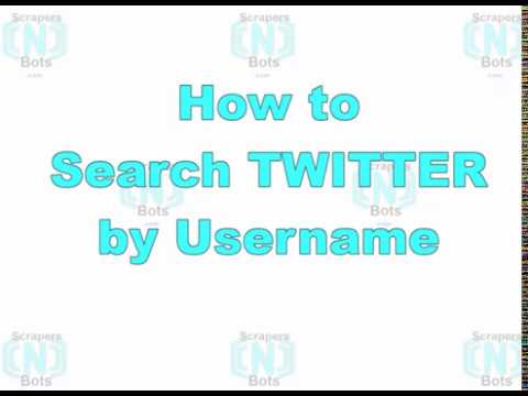 Twitter Username Search Instructions How to Find Someone on Twitter by ...