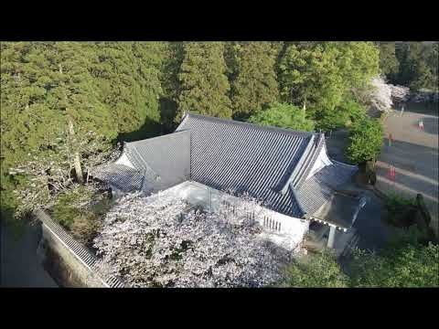 宮崎県日南市飫肥　大手門