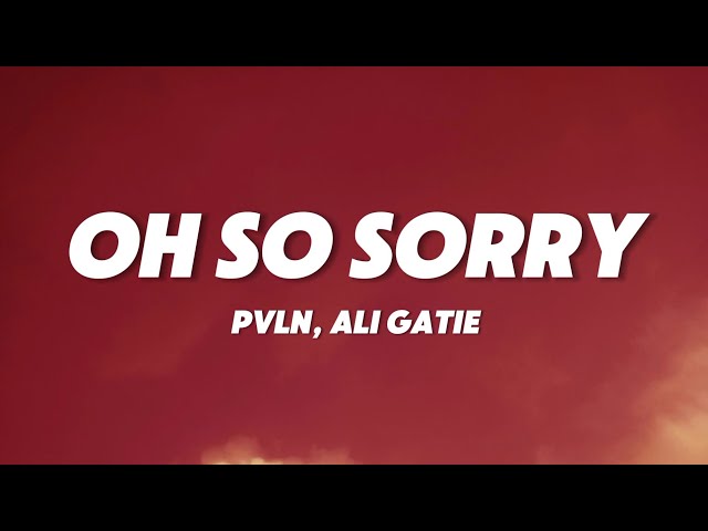 PVLN x Ali Gatie - Oh So Sorry Pt. 2 (Lyrics)