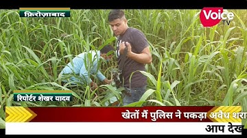 पुलिस ने खेतों में पकड़ा अवैध शराब का जखीरा थाना खैरगढ़ का है मामला