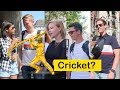 How much europeans know about cricket indian youtuber in germany  desifirangi