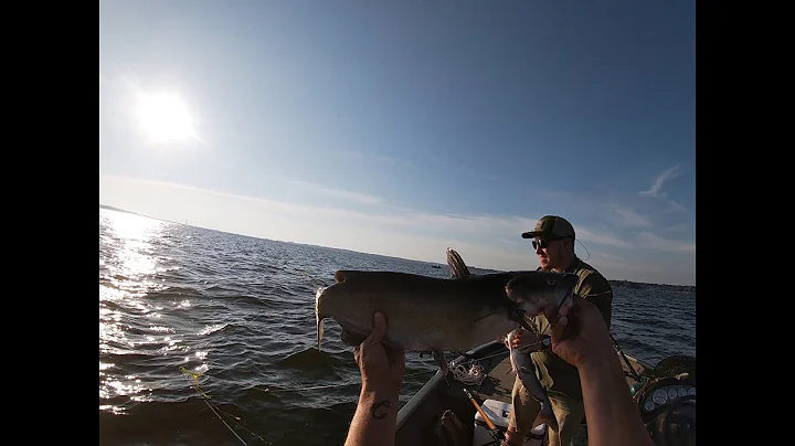 (Catfish) and Fresh water (Marlin) Lake Murray s.c.