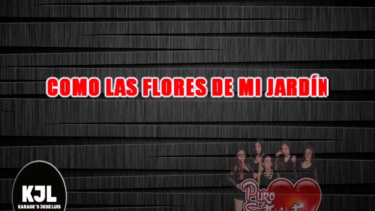 KARAOKE PURO SENTIMIENTO - DIAS FELICES