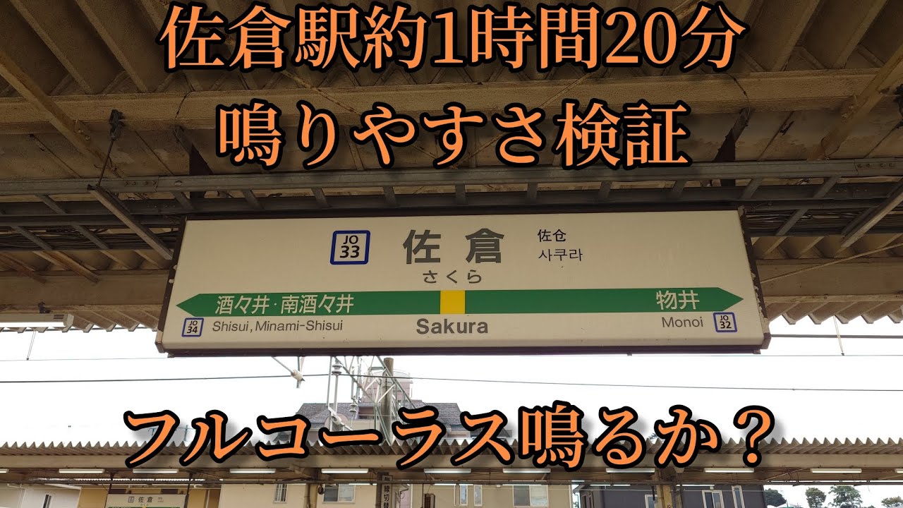 【フルコーラス鳴るか？】佐倉駅で約1時間20分の鳴りやすさ検証してみた結果  第57弾