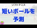 【ロジカルソフトテニス】短いボールの予測