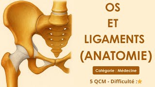Les Os et les Ligaments (anatomie)