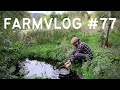 Why we plant comfrey everywhere  food forest permaculture farm  no dig market gardening
