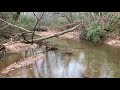 Gold Prospecting (Sugar Hill, GA)