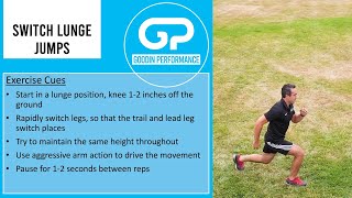 Switch Lunge Jumps: Exercise Demonstration