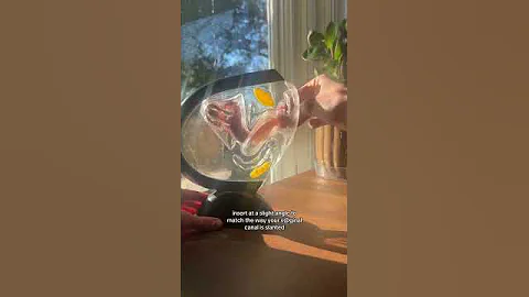 How to Insert a Menstrual Disc