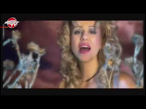 Музикалната кариера на