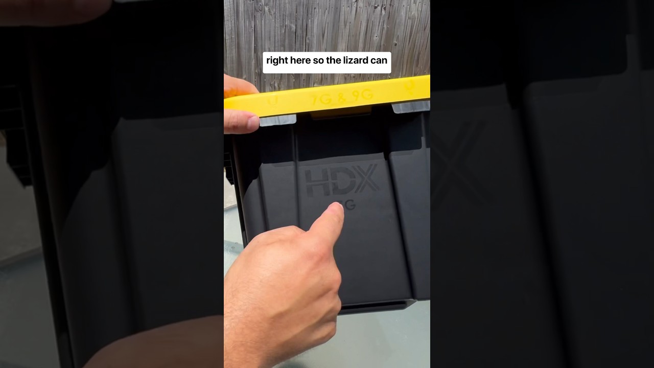 DIY Lizard Nest Box🦎🥚