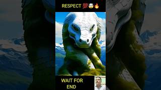Respect Amazing White Snake