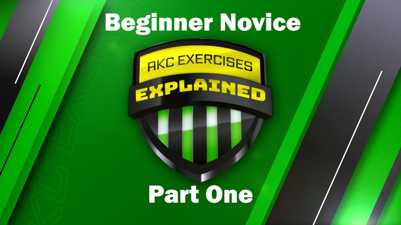 Beginner Novice Part One - YouTube