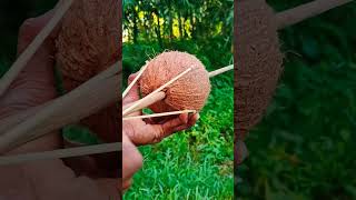 Creative Coconut DIY with Rubber Bands | Unique Village Idea | Amazing Craft #slingshots #bamboo1