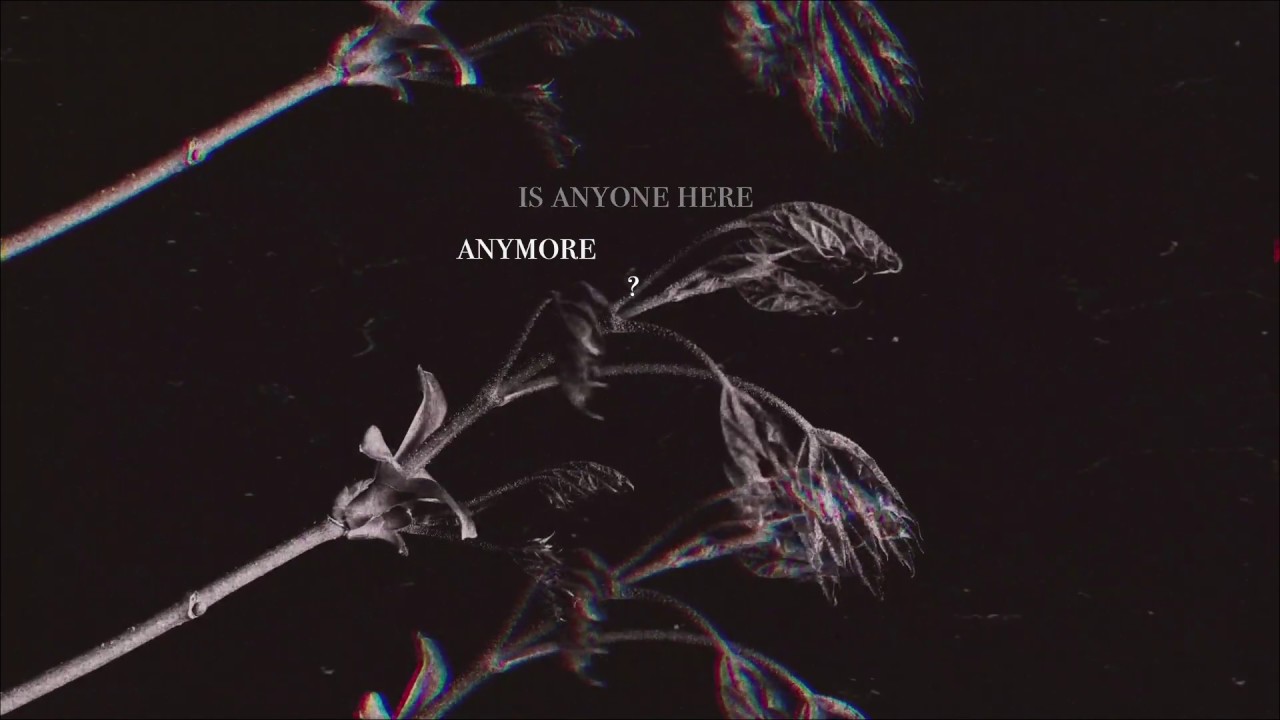Watch mesmi - Here Anymore (Official Lyric Video) on YouTube Watch mesmi - Here Anymore (Official Lyric Video) on YouTube