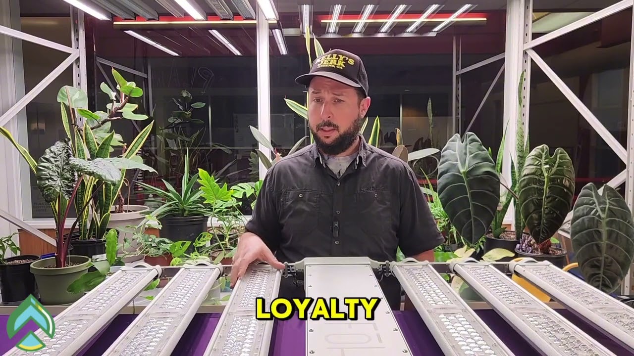 Fohse A3i Intial Review