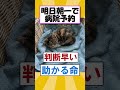 ゴミ捨て場に…#2ch面白いスレ #猫