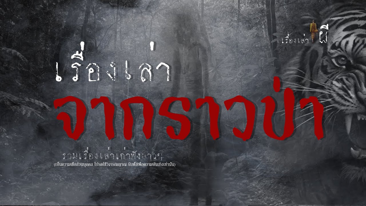 รวมเรื่องเล่าเก่าฟังยาวๆ EP 103 ตอน เรื่องเล่าจากราวป่า