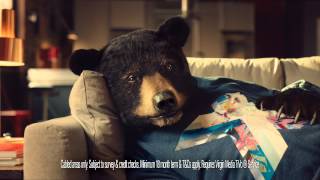Introducing Sofa Bear A Fan Of Virgin Medias Big Kahuna Movies Bundle