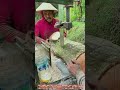 精密原木加工！ 帯鋸による木材加工