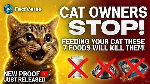 5 Mistakes every Cat owner must Avoid