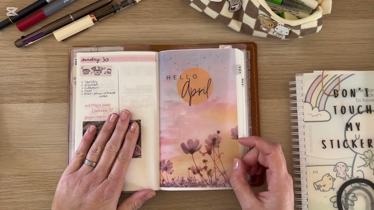 Sterling Ink B6 slim bullet journal flipthrough