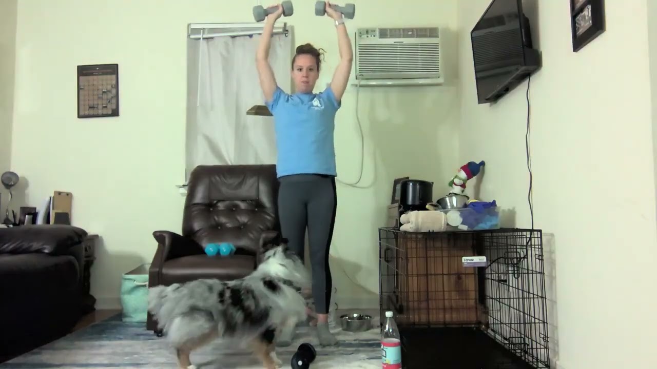 Day 12 | Shoulder Circuits