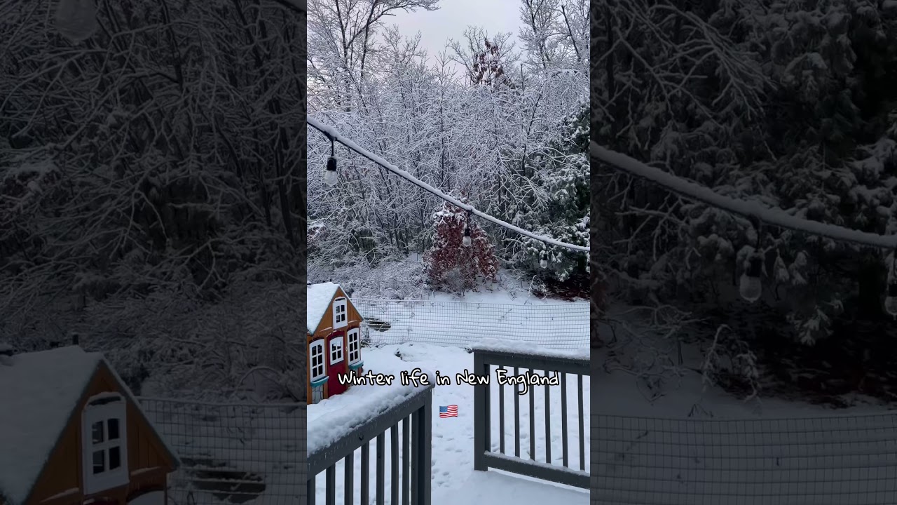 Winter Life in New England 🇺🇸 