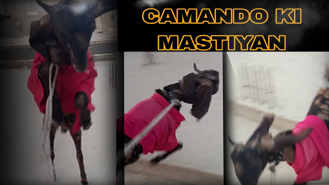 FIRST TIME CAMANDO KI MASTIYAN 