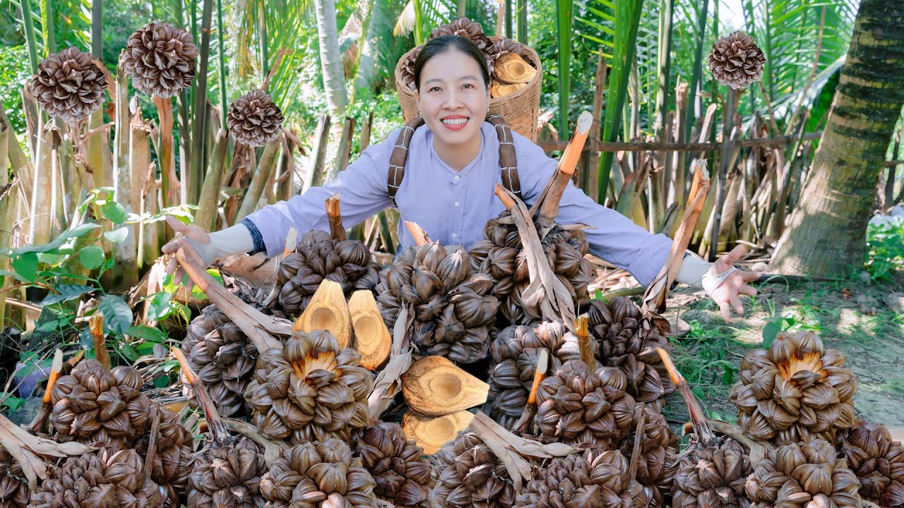 A Day in the Life: Hunting for Nipa Palm Fruit & Enjoys The Refreshing Taste of Water Coconut 🌴
