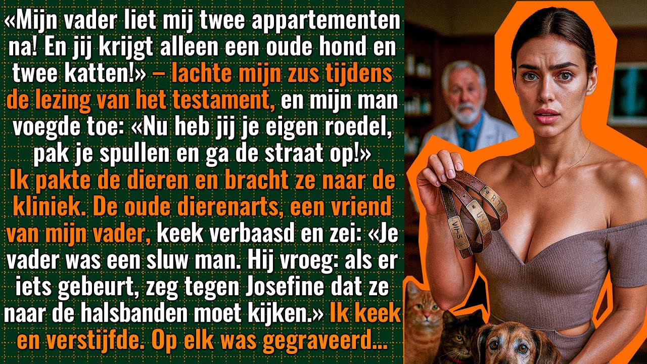 Mijn man zette mij met de hond en katten op straat… Maar hij wist niet wat mijn vader had verborgen…