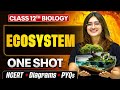 Ecosystem Class 12 One Shot 🔥 | NCERT + PYQs | Biology Chapter 12 by By Aarushi Ma'am