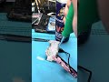 Mobile phone repair tools, power-on cable, universal power-on clip