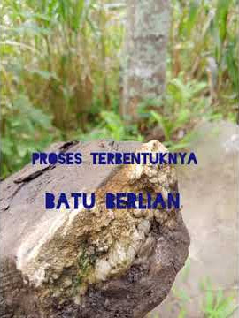 Ciri ciri Batu Berlian