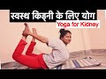       best yoga for healthy kidney yogawithshaheeda