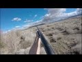 Solo Quail Hunting California Solo Quail Hunting California