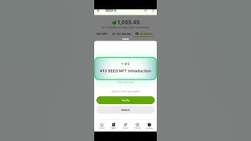 Seed - #13 Seed NFT Introduction