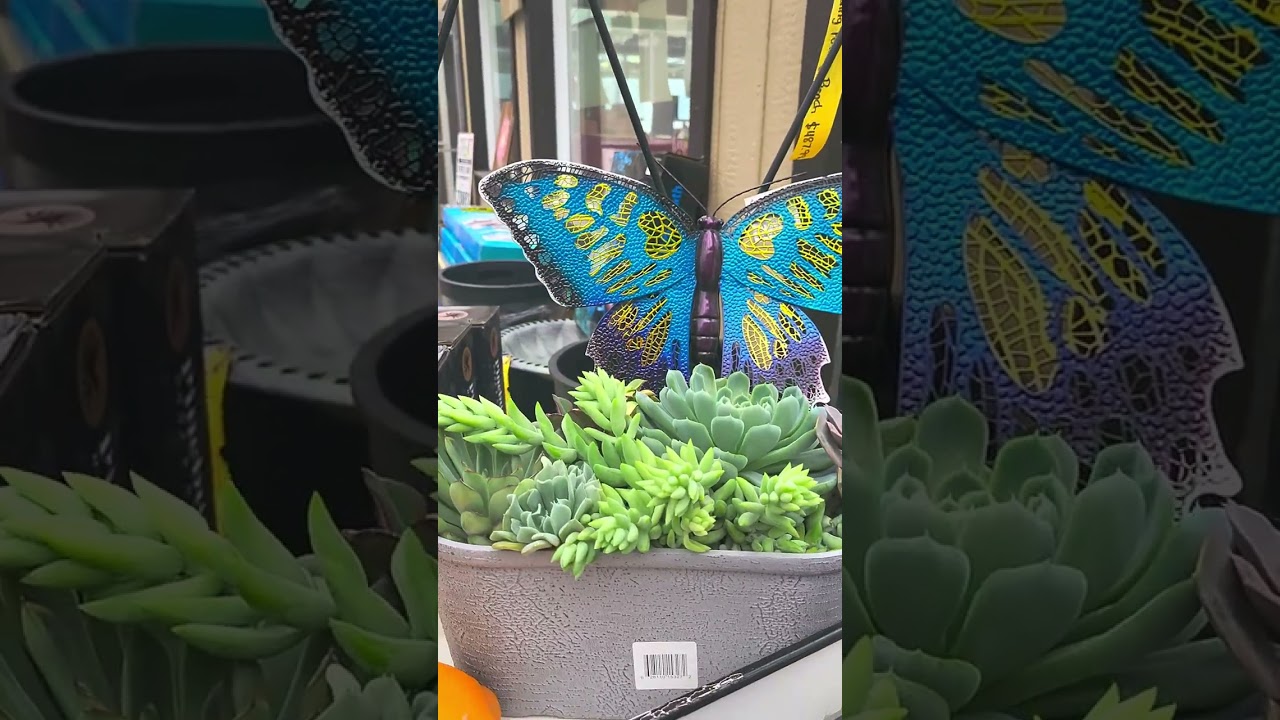 Vlog 9 Cont. Tour inside the Nursuries