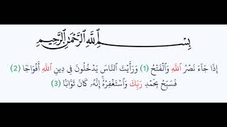 سورة النصر - Surah An-Nasr - الشيخ محمد المحيسني