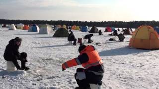 Сахалин. оз. Малое Буссе. Зимняя рыбалка корюшки. Видео 1.(Улов составил с 9-30 до 14-00 часа 564 шт. или 15 кг. на четверых. Средний вес одной единицы 26 грамм. Ловилась на..., 2016-01-18T08:15:23.000Z)