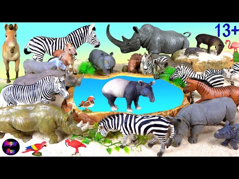 Zoo Animals - Horse Zebra Rhino Donkey Tapir Quagga Zorse Wild Ass Mule - Odd Toed Ungulates 13+