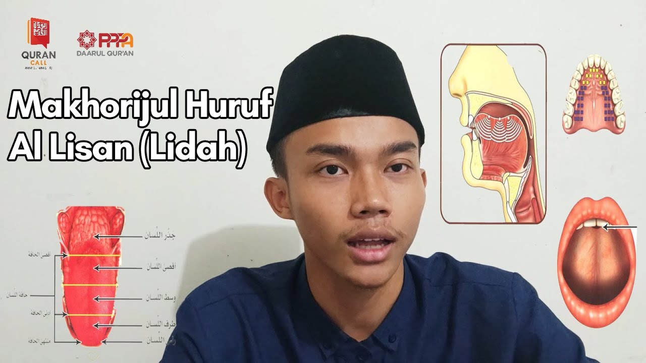 4. Makhorijul huruf : Al Lisan (Lidah)