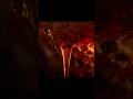 Hallucinated honey | #youtubeshorts #shorts #viral #trending #facts #madhoney