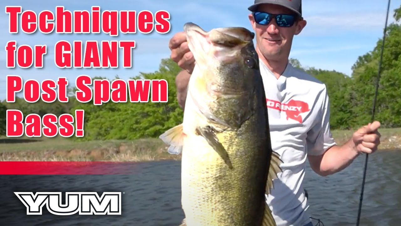 TOP Finesse Worm Techniques for GIANT Post Spawn Bass! 