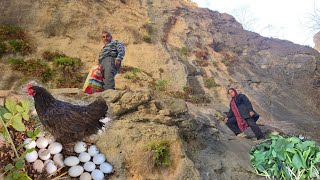 Cave life: An amazing journey to find a medicinal plant; discovering a chicken nest in the mountains